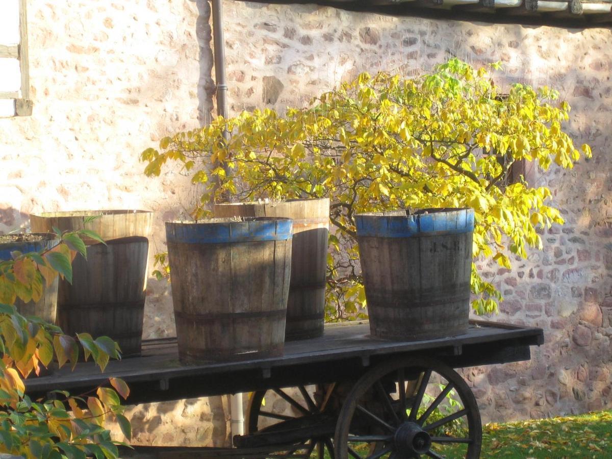 Les Hortensias Sainte-Marie-aux-Mines Exterior foto